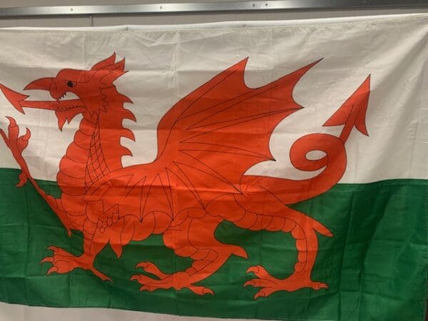 A red and white flag with a dragon on it.