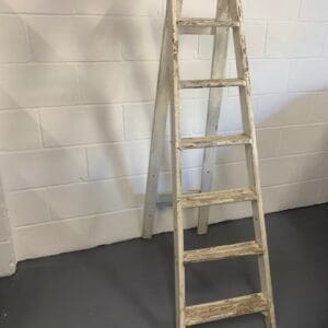 A ladder leaning up against the wall