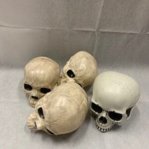 A group of skulls sitting on top of a table.