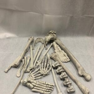 A table with various skeleton bones and hands.