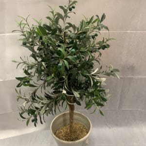 A small tree in a white bowl on the table