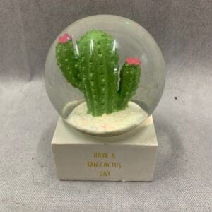 A snow globe with a cactus inside of it.