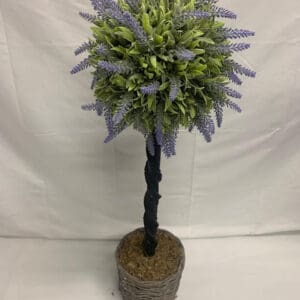 A small tree with purple flowers in it